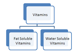 Vitamins Ppt Pdf Powerpoint Presentation