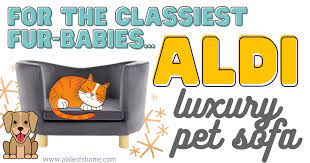 aldi has the purrrfect pet sofa for