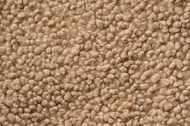 146 carpet cleaners paddington w2
