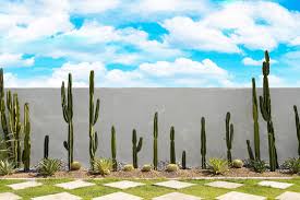 Cactus Garden Images Browse 8 765