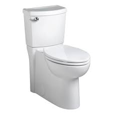 American Standard 2989 101 Toilet