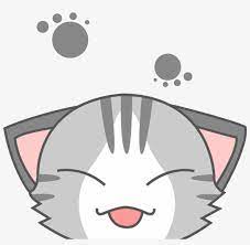 Cute Cat Wallpaper Cartoon Png Image
