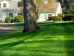 From getting started with sod installation and irrigation systems, to enhancing your space with low voltage lighting. Green Masters Landscape Lawn Care Landscaping Lawn Care Services Landscape Renovation Verona Madison Wisconsin