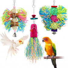 14 parrot toys that keep your pets