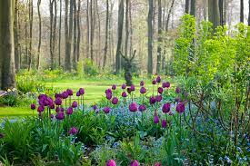 Vibrant Spring Bulb Display