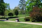The Oaks" Golf Course | Alapark