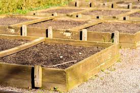 soil depth for raised beds learn how