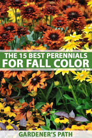 The 15 Best Perennials For Fall Color