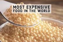 what-is-the-most-expensive-food-in-the-world