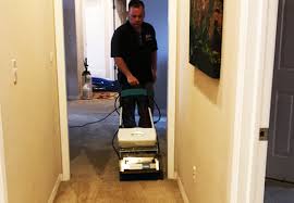 carpet cleaning carpet cleaners
