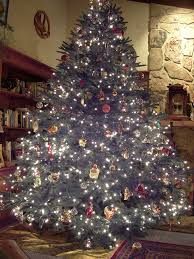 Image result for image christmas trees