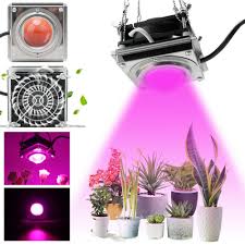 New 600w Led Grow Light Cob Growing Lamp Full Spectrum Grow Lamp Led Grow Light For Indoor Plant With Cooling Fan For Indoor Plant Bloom Veg Plant Lamp Indoor Growing Lights From