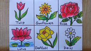 flower chart making how to draw