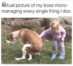 Boss funny memes about work stress. 24 Funny Work Memes To Enjoy On Your Break Funny Gallery