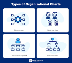 organizational chart what it is