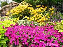 small flower gardens backyard flowers