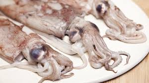 Is your network connection unstable or browser. How To Clean And Prepare A Squid Great British Chefs