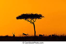 Impala en áfrica, praderas de oro. Herida de impala en praderas de kenya africa en la mañana de oro. | CanStock