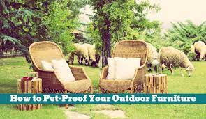 outdoor furniture pet proof pets