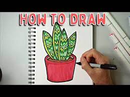 To Draw A House Plant Easy Snake Plant