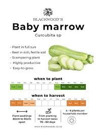 Your Vegetable Planting Charts