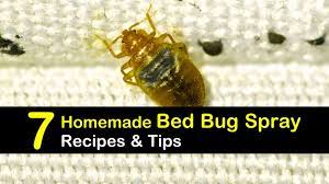 homemade bed bug spray