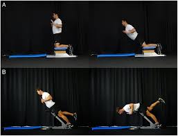 impact of the nordic hamstring and hip