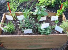 How To Plant A Personal Herb Garden