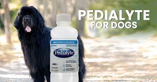 pedialyte for your dog cautions and