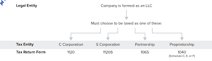 C Corp Vs S Corp Partnership Proprietorship And Llc Toptal