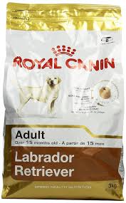 Royal Canin Labrador Adult 3 Kg Online Pet Supplies Pet