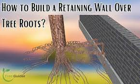 Build A Retaining Wall Over Tree Roots