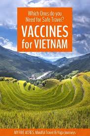 vaccines for vietnam which do you