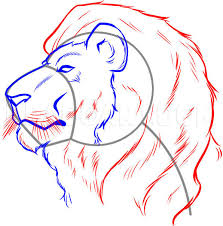 how to draw a lion face step by step