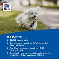 hill s pet nutrition opens applications