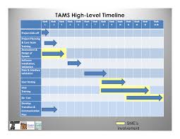 Project Management High Level Timeline Templates At
