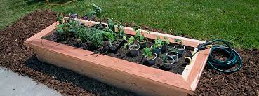 Diy How To Build A Raised Garden Bed