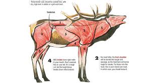 Check Out This Illustrated Elk Meat Guide Infographic