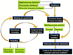Flow Chart Of Structure Based Drug Designing Download
