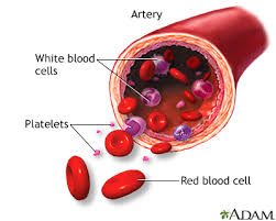 blood diffeial test information