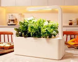 Hydroponic Herb Garden Systems And