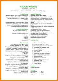 job resume template pdf example of a resume for a job application    