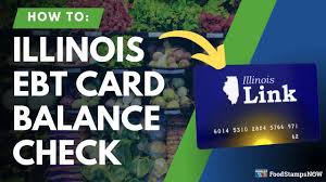 illinois link card balance check