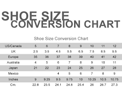 Prima Donna Size Chart 2019