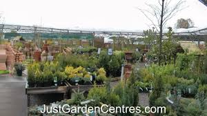 3 shires garden centre newent