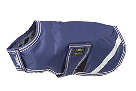 Amigo Dog Blanket 100g Blue Large