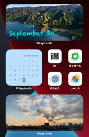 home screen with widgets