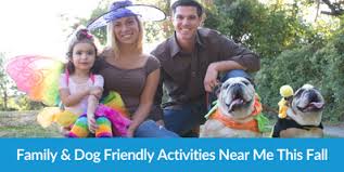 family dog friendly activities near