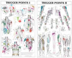Two Part Trigger Point Chart Set