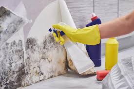 As you combine these elements they produce a paste. How To Remove Mold From Walls True Value